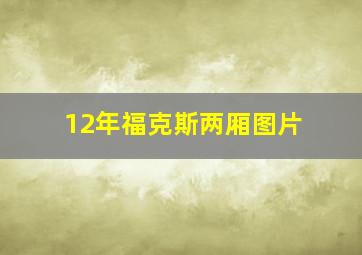 12年福克斯两厢图片