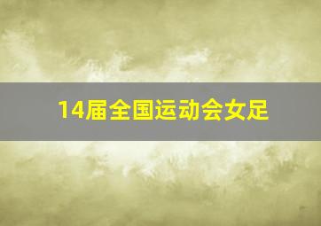 14届全国运动会女足