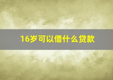 16岁可以借什么贷款