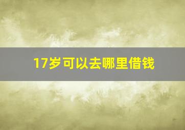 17岁可以去哪里借钱