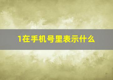 1在手机号里表示什么