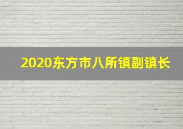 2020东方市八所镇副镇长