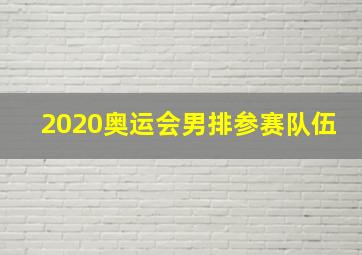 2020奥运会男排参赛队伍