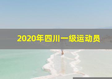 2020年四川一级运动员