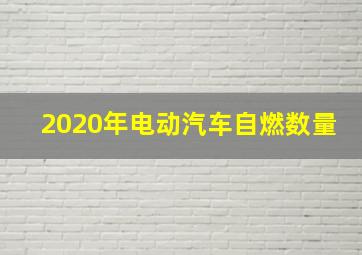 2020年电动汽车自燃数量