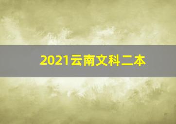 2021云南文科二本