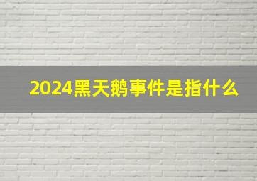 2024黑天鹅事件是指什么