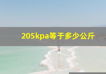 205kpa等于多少公斤