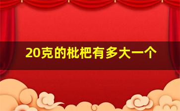 20克的枇杷有多大一个