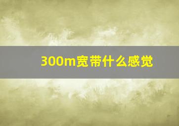 300m宽带什么感觉