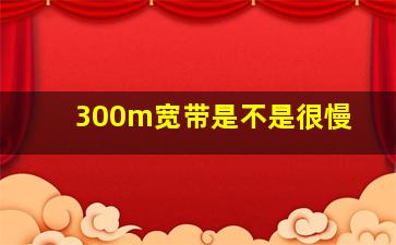 300m宽带是不是很慢