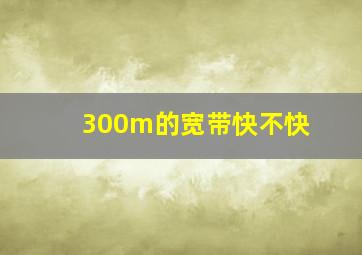 300m的宽带快不快