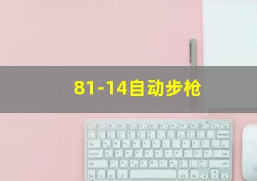 81-14自动步枪