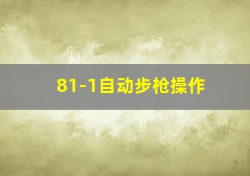 81-1自动步枪操作