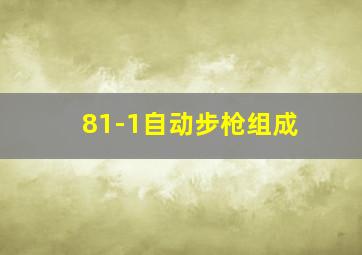 81-1自动步枪组成