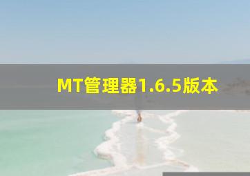 MT管理器1.6.5版本