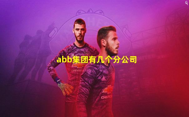 abb集团有几个分公司