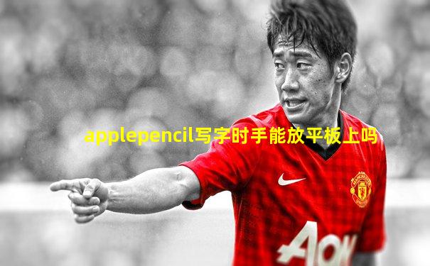 applepencil写字时手能放平板上吗