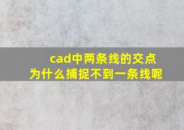 cad中两条线的交点为什么捕捉不到一条线呢