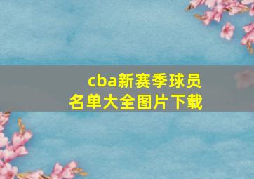 cba新赛季球员名单大全图片下载