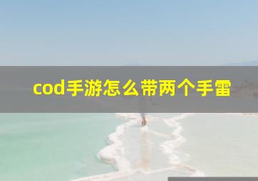 cod手游怎么带两个手雷