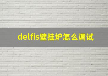 delfis壁挂炉怎么调试