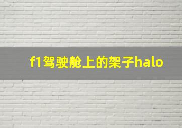 f1驾驶舱上的架子halo