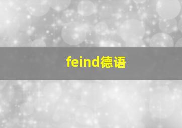 feind德语