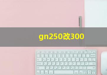 gn250改300