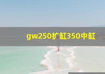 gw250扩缸350中缸