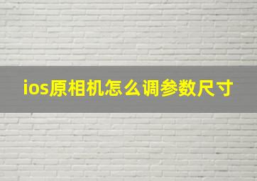 ios原相机怎么调参数尺寸