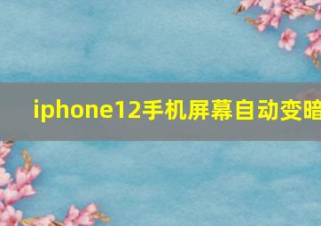 iphone12手机屏幕自动变暗