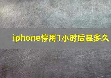 iphone停用1小时后是多久