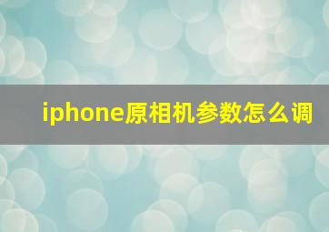 iphone原相机参数怎么调