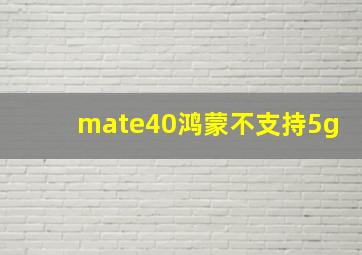 mate40鸿蒙不支持5g