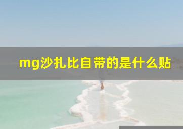 mg沙扎比自带的是什么贴