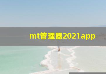 mt管理器2021app