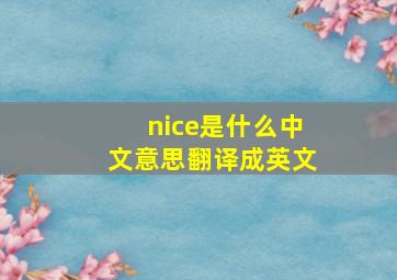 nice是什么中文意思翻译成英文