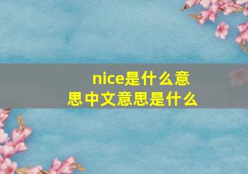 nice是什么意思中文意思是什么