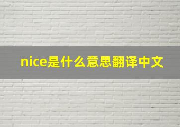 nice是什么意思翻译中文