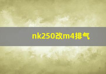 nk250改m4排气