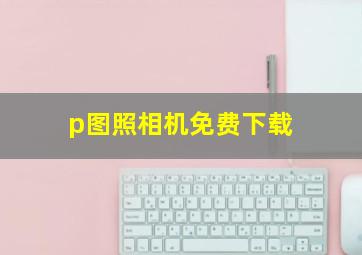 p图照相机免费下载