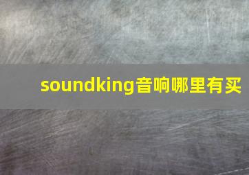 soundking音响哪里有买