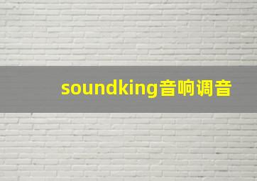 soundking音响调音