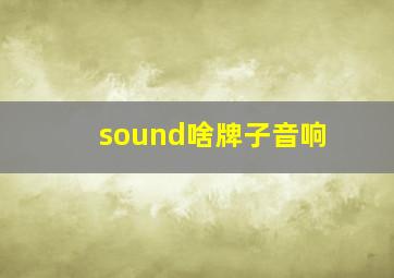 sound啥牌子音响