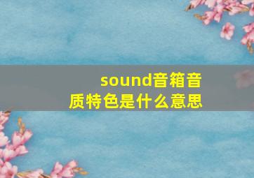 sound音箱音质特色是什么意思