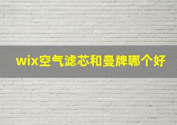 wix空气滤芯和曼牌哪个好