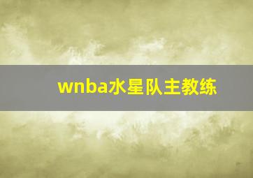 wnba水星队主教练