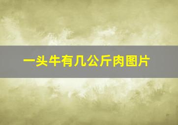 一头牛有几公斤肉图片