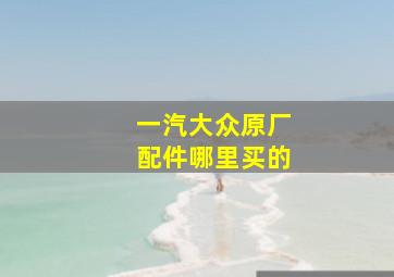 一汽大众原厂配件哪里买的